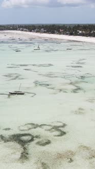 Tanzania  Vertical Video of Low Tide in the Ocean Near the Coast of Zanzibar Slow Motion alt