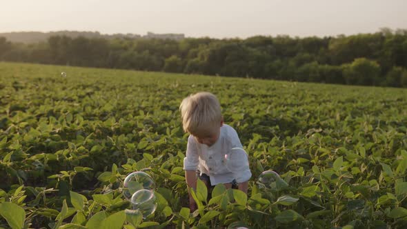 Child a Handsome Boy Plays in a Field in the Summer He Catches Blowing Soap Bubbles alt