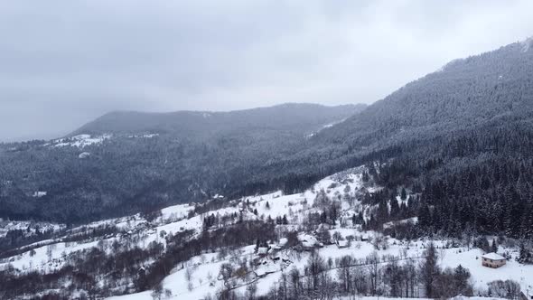 Drone view of beautiful winter scenery in the mountains with pine trees covered with snow.