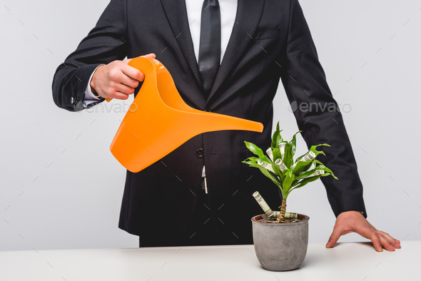 Cropped view of businessman in suit watering plant with money isolated on grey