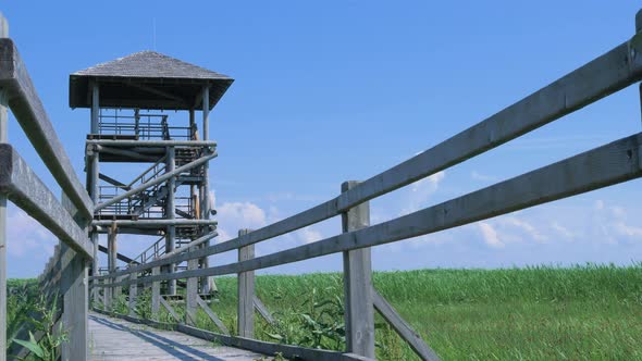 View of footbridge path and birdwatching tower at lake Liepaja in sunny summer day with scenic cloud alt