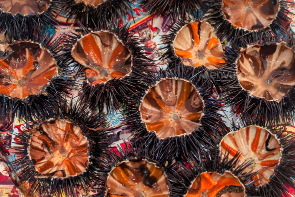 urchins an aphrodisiac appetizer of the island of Tinos Greece