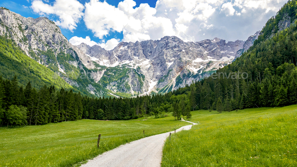 Beautiful alpine valley, gravel road, green meadows surrounded by mountains. Jezersko, Slovenia. - Stock Photo - Images