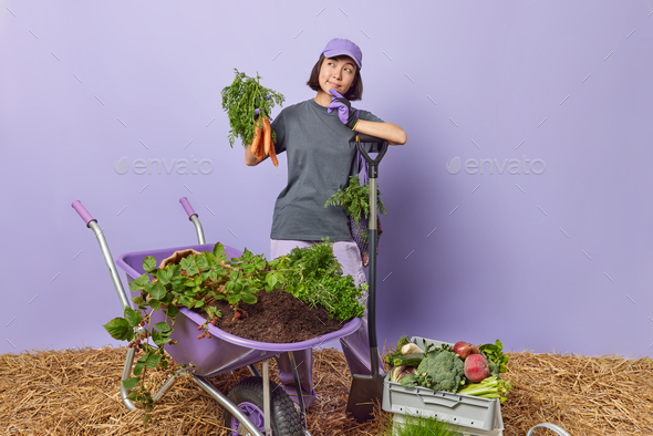 Organic Farmer Poses With Diverse Lettuce Pickers On Farm Photo Background  And Picture For Free Download - Pngtree