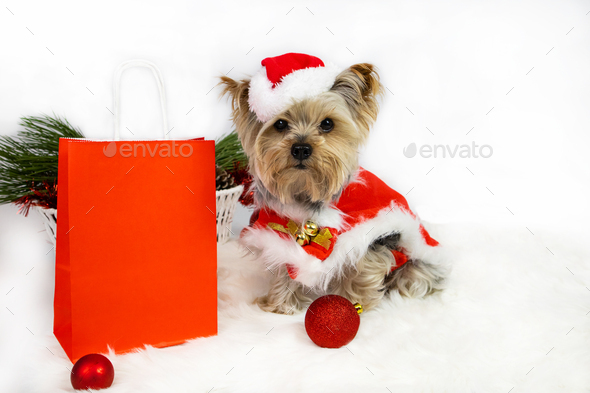 Yorkshire Terrier Dog Christmas Stocking