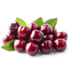 Cherry berry with leaves - PhotoDune Item for Sale