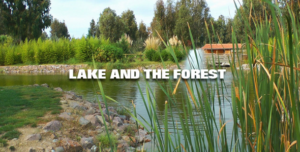Lake and the Forest alt