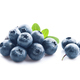 Blueberries with leaves - PhotoDune Item for Sale