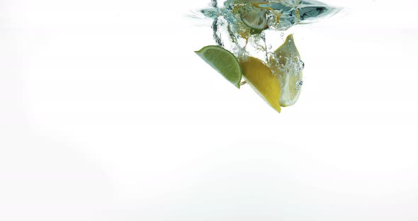 Yellow Lemons, citrus limonum, and Green Lemons, citrus aurantifolia alt