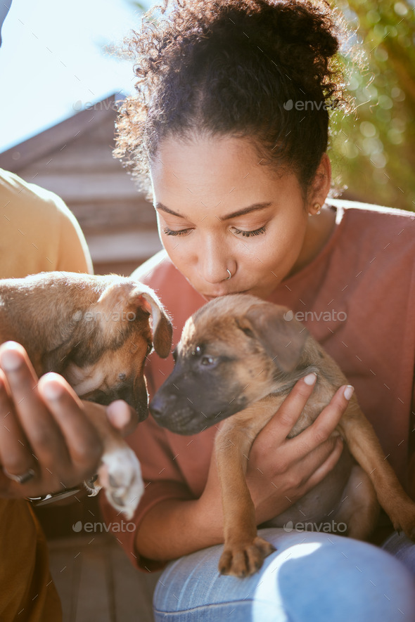 Love, dog and animal shelter with a black woman kissing a puppy at a rescue pound for adoption or c