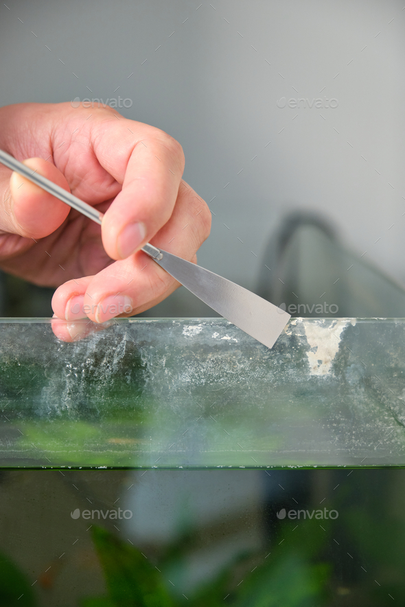 Close up of a hand cleaning lime scale in a fish tank.