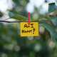 A paper note with the question Am I Happy on it attached to a tree with a clothes pin - PhotoDune Item for Sale