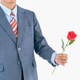 Businessman in suit with red rose on white - PhotoDune Item for Sale