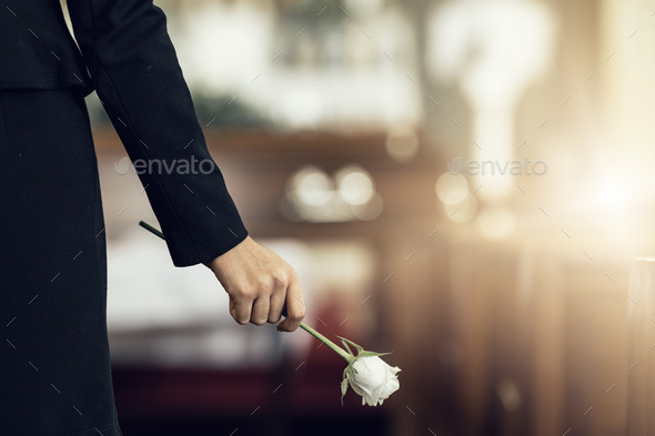 Flower, funeral and hand holding rose in mourning at death ceremony with grief for loss burial. Flo