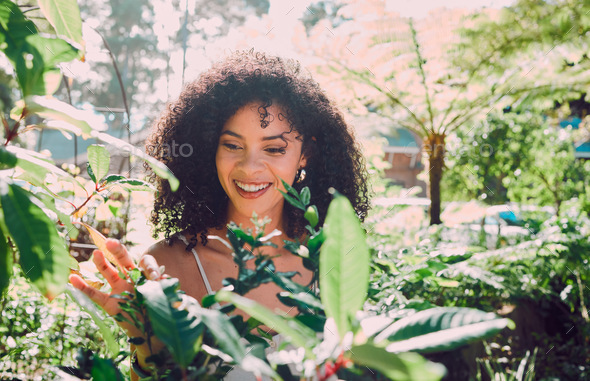 Plants Leaf, Spring Garden And Black Woman Check Natural Growth 