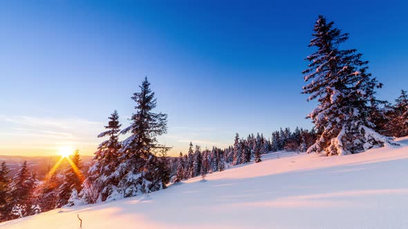 Beautiful Winter Landscape in the Mountains alt