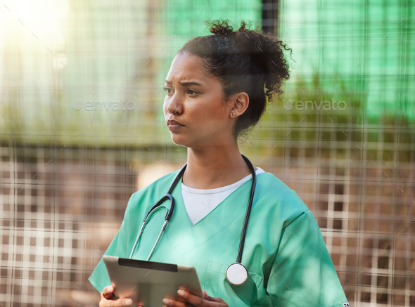 Veterinary, nurse of healthcare woman outdoor with tablet and stethoscope for inspection or to chec