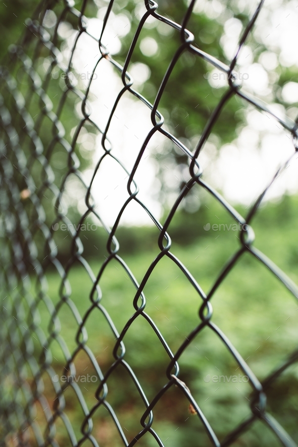 Mesh Wall Out Of Focus , Blurred Mesh Wall, Net Stock Photo