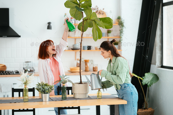Two young women is taking care of houseplants watering and spraying with water. - Stock Photo - Images