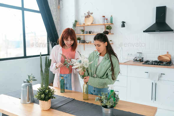 Two young women make bouquets at home in the kitchen - Stock Photo - Images