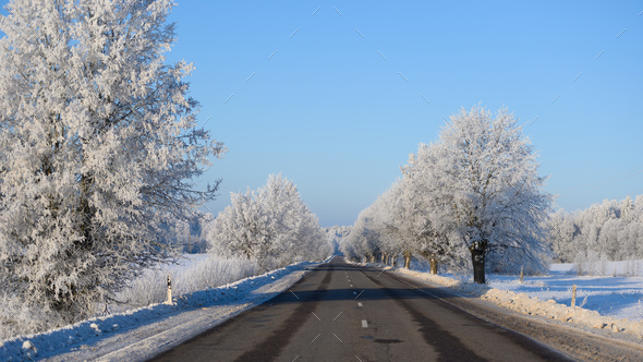 Road trip along wintry highway. White trees covered in frost Stock ...