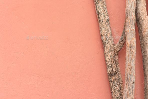 Minimalist summer cityscape with dusty rose stucco wall with wood tree trunk