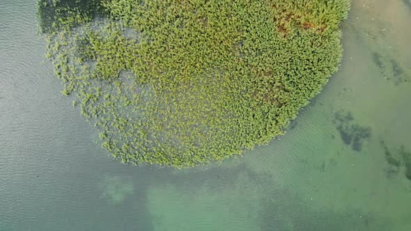 Aerial shot of wild island made of reed and cane in Struga at Ohrid Lake in Macedonia. alt