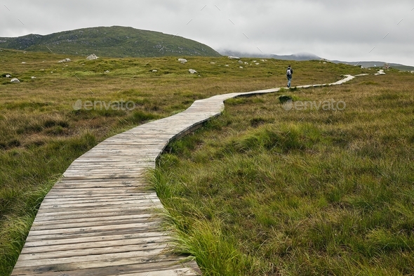 Narrow pathway in Connemara National Park in Ireland under a cloudy sky - Stock Photo - Images