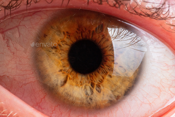 human pupil of brown color close up