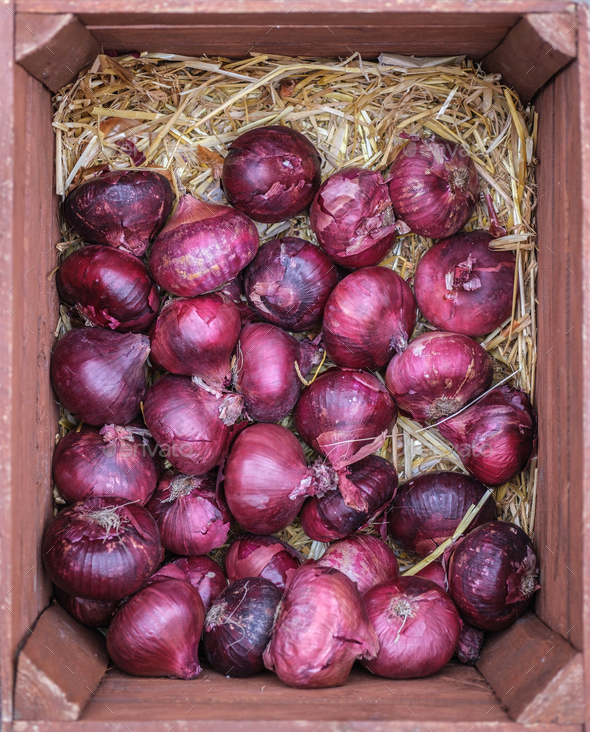 Box Of Red Onions At A Market - Stock Photo - Images