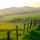 Panorama Of A Rural Road In Scotland At Sunset - PhotoDune Item for Sale