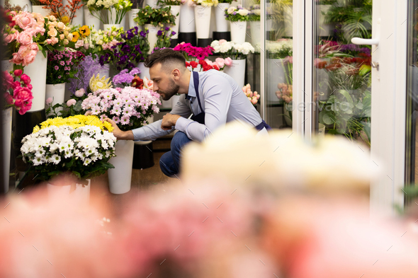a florist in a flower shop checks the quality of the bouquets in the refrigerator to prepare for