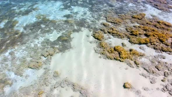 White Sandy Coral Reef in the Clear Turquoise Light Blue Sea of the Tropical Coastline alt