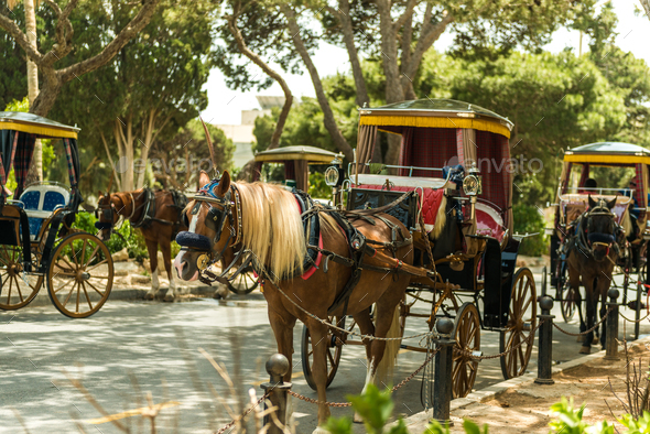 Row of horse with carriages in Mdina