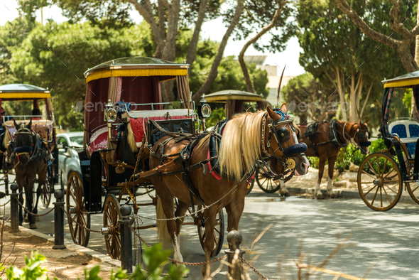 Row of horse with carriages in Mdina
