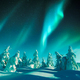 Northern lights in winter forest - PhotoDune Item for Sale