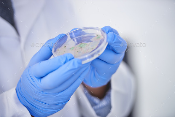 Finding a cure. A cropped shot of a scientist wearing gloves while holding a petri dish.