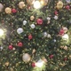 christmas tree - PhotoDune Item for Sale