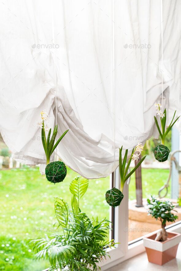 Vertical shot of bright green kokedama Japanese moss balls hanging by the curtain indoors