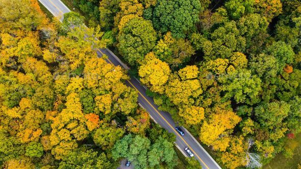 Aerial shot of a road going through woods by Indiana University, Bloomington, Indiana