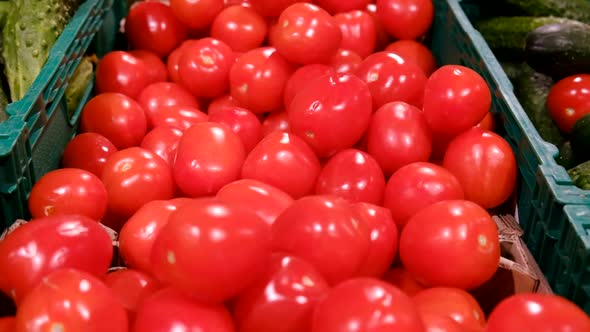 Beautiful red tomatoes in the supermarket are on sale, natural products alt