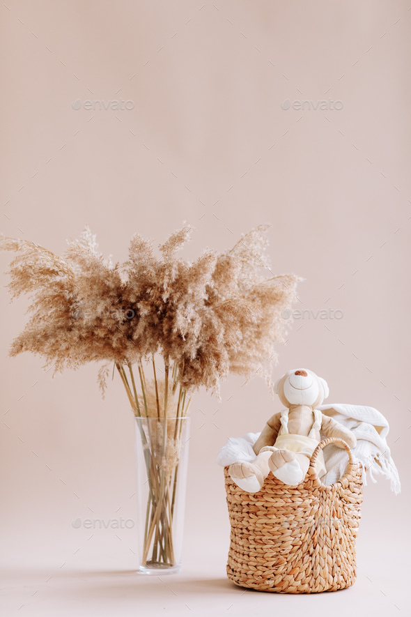 Interior of house of Natural accessories for home decor - dried plants in  glass vase, wicker Stock Photo by andriymedvediuk