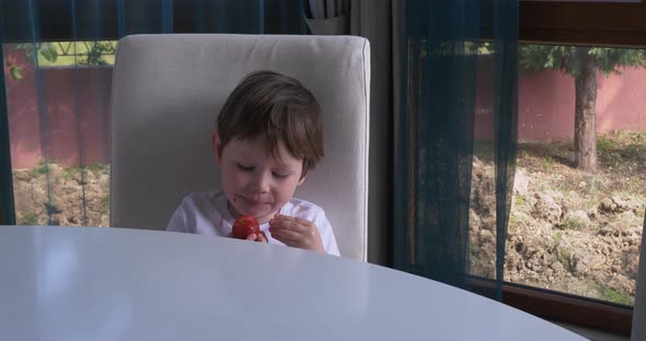 Cute Little Boy Is Eating Fresh Ripe Strawberries at Home