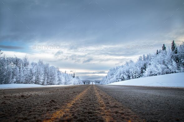 Low angle shot of a way road with yellow signs and snowy trees on the sides under cloudy gloomy sky