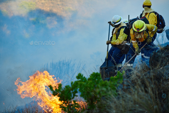 Where theres smoke, theres fire and fire fighters. Shot of fire fighters combating a wild fire.