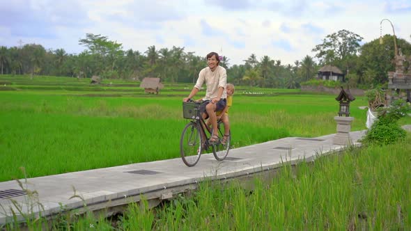 A Young Man Rides Through the Beautiful Rice Field on a Bicycle. Travel To South-East Asia Concept alt
