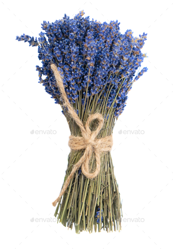 Dry lavender flowers Stock Photo by Neirfy007