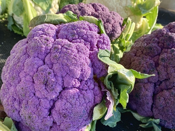 Beautiful, colorful organic cauliflower  - Stock Photo - Images
