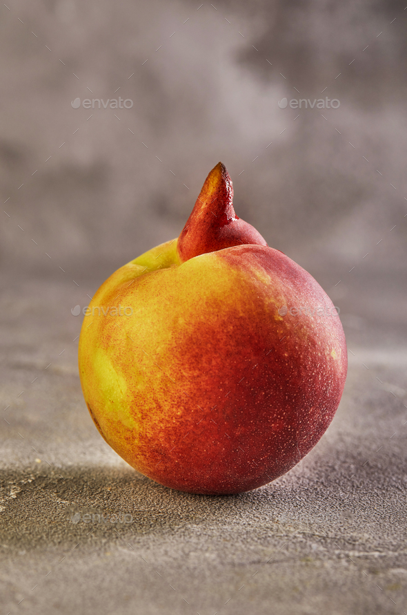 Ugly fruit or vegetable. Severely malformed mutant peach on grey background.