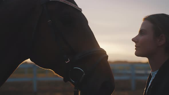Horsewoman Kissing Her Seal Horse  Expressing Her Love For Horse  Sunset Time alt